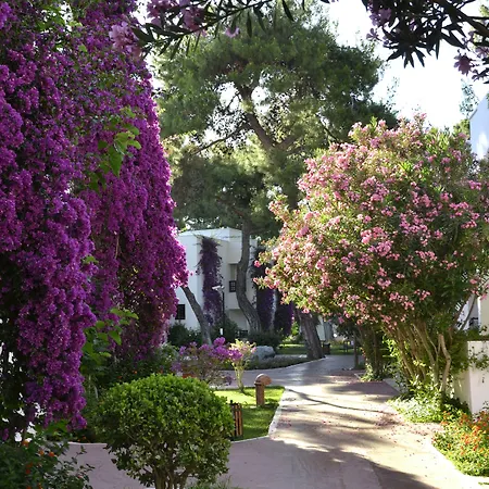 Emelda Sun Club Resort 5*
