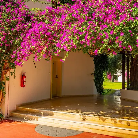 Emelda Sun Club 5* Kemer