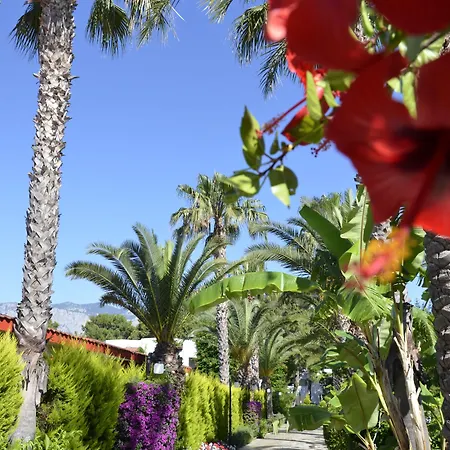 Emelda Sun Club 5* קמר