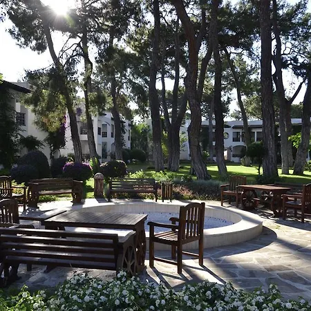 Emelda Sun Club 5* كمر