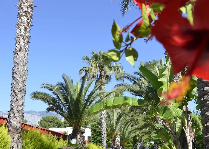 Emelda Sun Club 5* Κεμέρ